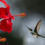 Group logo of Conscious Entrepreneurs