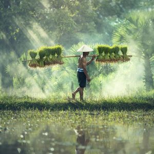 Group logo of Culture & Current Affairs